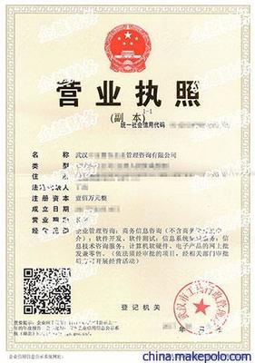 洪山公司注册与工商代办详解 轻松完成工商登记手续